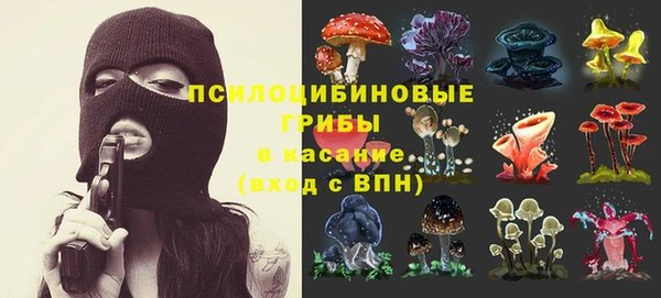 прущая мука Абаза