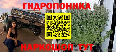 гидра Ипатово