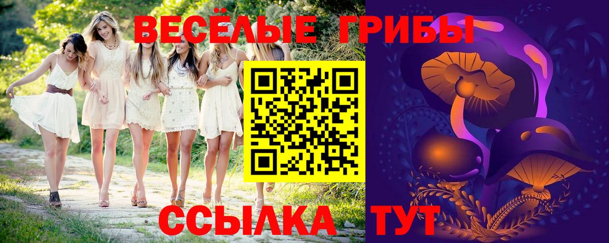 Галлюциногенные грибы Psilocybe  Вход с VPN  Галлюциногенные грибы Magic Shrooms  Азов 