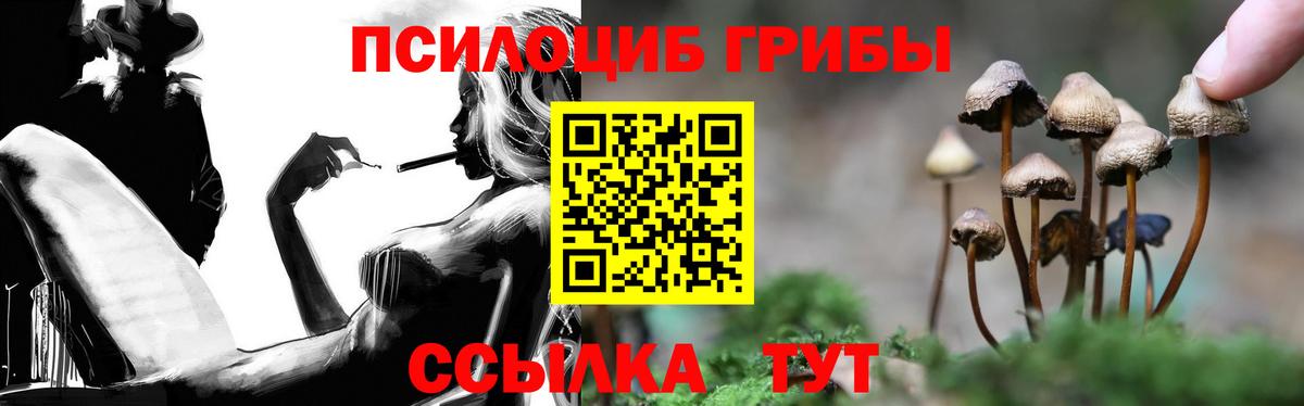 Псилоцибиновые грибы MAGIC MUSHROOMS Азов